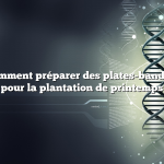 Question : Comment préparer des plates-bandes surélevées pour la plantation de printemps